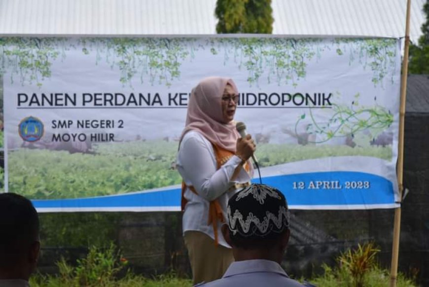 Wakil Bupati Sumbawa Hadiri Panen Perdana Hidroponik