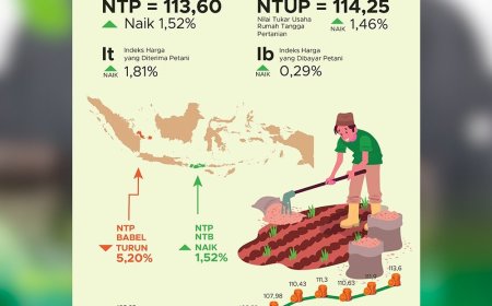 Nilai Tukar Petani Meningkat Hampir Seluruh Subsektor