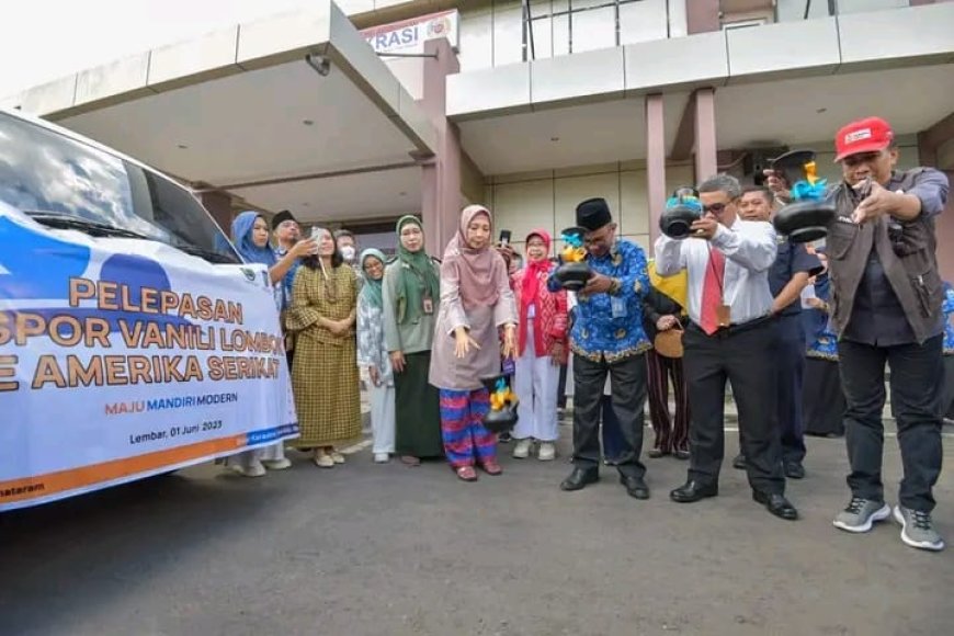 Ekspor Vanili Organik ke AS , Bukti Semangat Juang Petani NTB Jaga Kualias Produksi