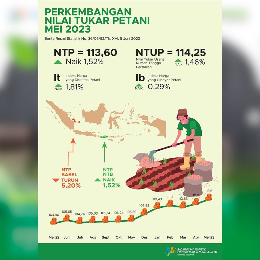 Nilai Tukar Petani Meningkat Hampir Seluruh Subsektor