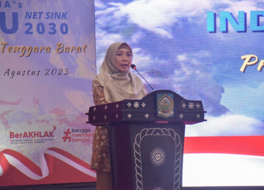 Buka Indonesia's FOLU Net Sink 2030, Wagub Umi Rohmi Paparkan Inovasi Pengelolaan Lingkungan