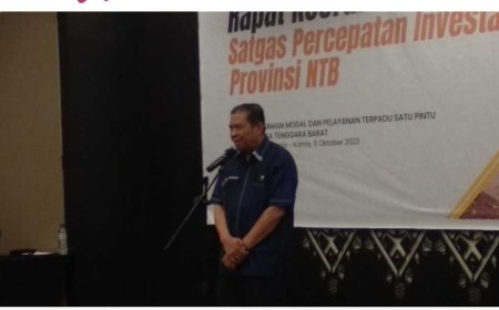 Plh Sekda NTB : Yakinkan Kepada Investor, Investasi di NTB Aman Nyaman dan Ramah