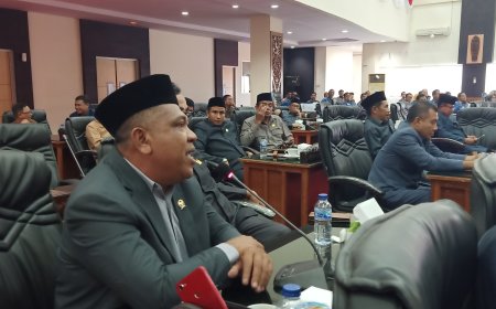 Atasi Ilegal Loging dan Ilegal Mining Rambo Dorong Pemda Bentuk Tim Khusus