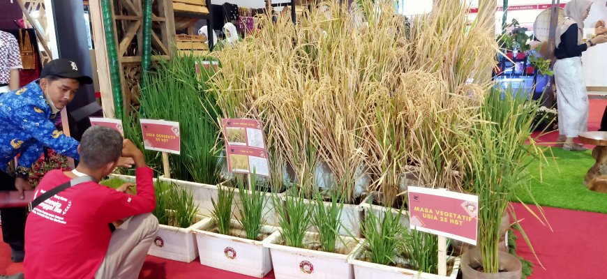 Sekolah Berkebun Kota Semarang Ikuti Pangan Plus Expo 2023