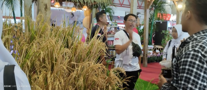 Sekolah Berkebun Kota Semarang Ikuti Pangan Plus Expo 2023