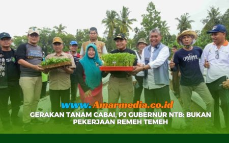Gerakan Tanam Cabai, Pj Gubernur NTB: Bukan Pekerjaan Remeh Temeh