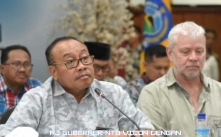 Pj Gubernur NTB Vicon dengan Perwakilan  Intrinsic Exchange Group Tegaskan  Aspek Kelestarian  Lingkungan