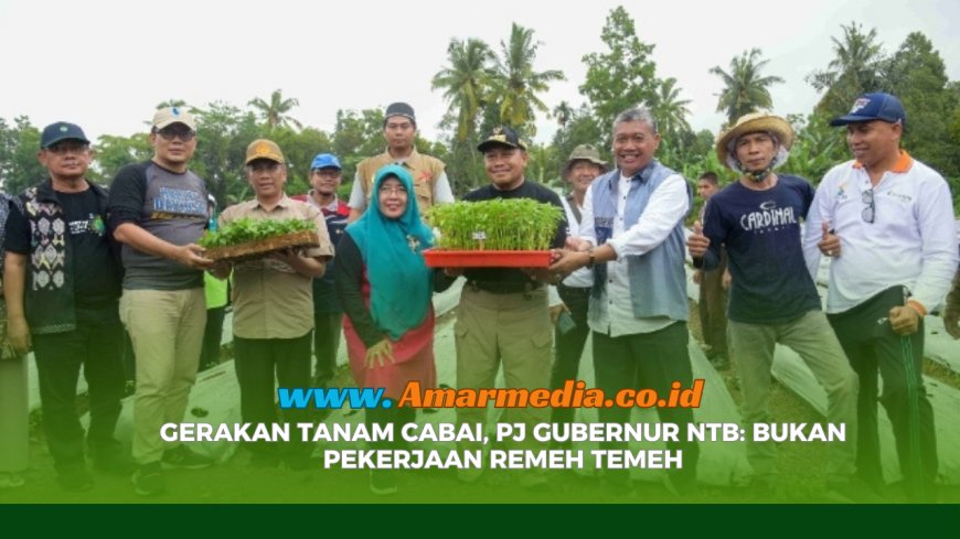 Gerakan Tanam Cabai, Pj Gubernur NTB: Bukan Pekerjaan Remeh Temeh