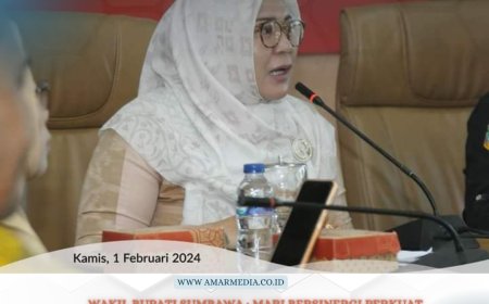 Wakil Bupati Sumbawa ; Mari Bersinergi Perkuat Kerjasama Lintas Sektor Atasi Stunting