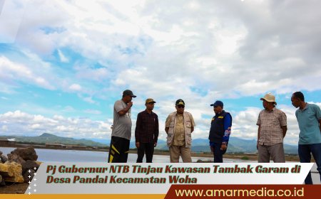 Pj Gubernur NTB Tinjau Kawasan Tambak Garam di Desa Pandai Kecamatan Woha