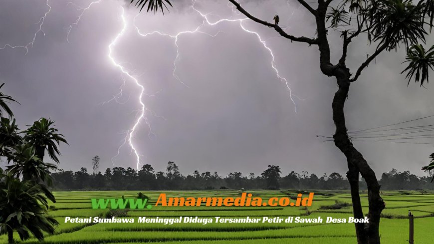 Petani Sumbawa  Meninggal Diduga Tersambar Petir di Sawah  Desa Boak