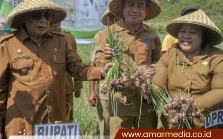 Program Upland 2024 Bantuan Tahun Terakhir Bagi Sumbawa Lampaui Target
