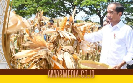 Tinjau Panen Jagung di Sumbawa, Presiden Tegaskan Pentingnya Keseimbangan Harga