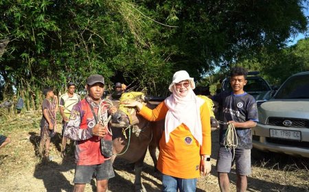 Wakil Bupati Sumbawa Support Pelestarian Barapan Kebo sebagai Warisan Budaya dan Daya Tarik Wisata