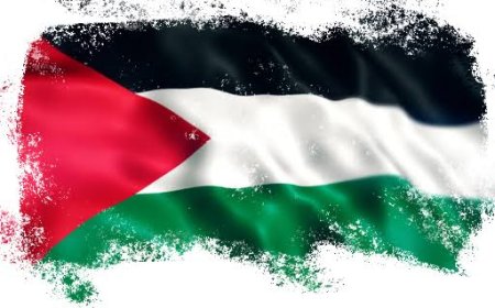 Turki: Makin Banyak Yang Akui Negara Palestina, Israel Makin Terkucil