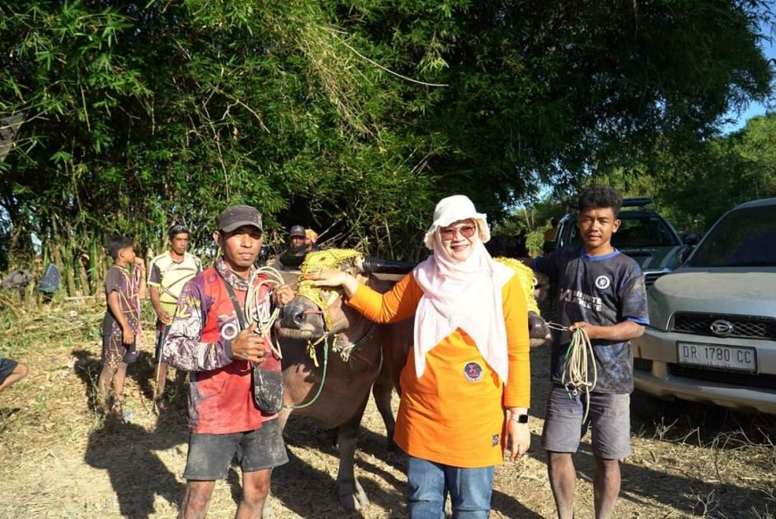 Wakil Bupati Sumbawa Support Pelestarian Barapan Kebo sebagai Warisan Budaya dan Daya Tarik Wisata