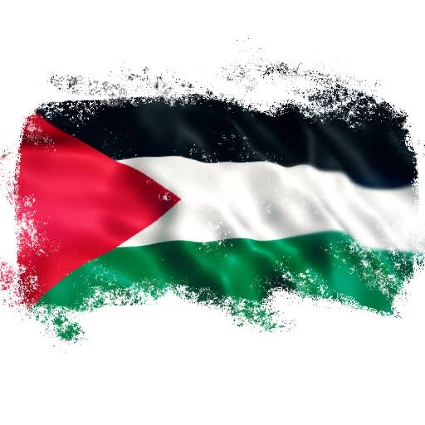 Turki: Makin Banyak Yang Akui Negara Palestina, Israel Makin Terkucil