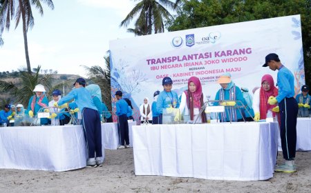 Kunjungi Pantai Elak Elak Sekotong Lombok Barat, Bunda Lale Dampingi Ibu Negara Iriana Joko Widodo Lepas 300 Tukik