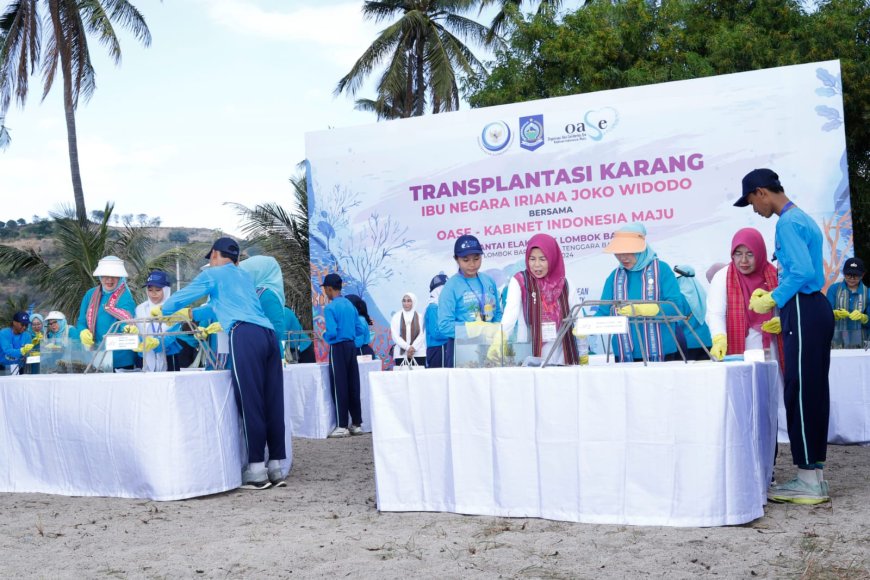Kunjungi Pantai Elak Elak Sekotong Lombok Barat, Bunda Lale Dampingi Ibu Negara Iriana Joko Widodo Lepas 300 Tukik