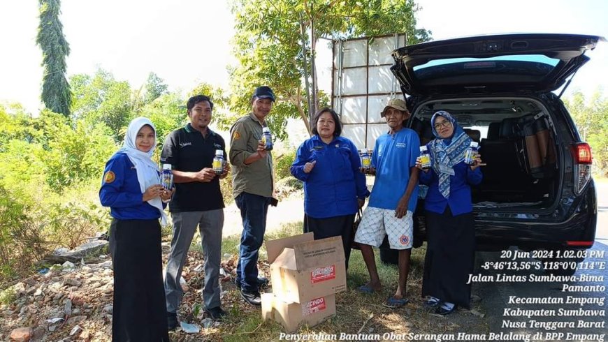 Proteksi Pertanian, Ini Langkah Pemerintah Daerah Atasi Masalah Hama Belalang