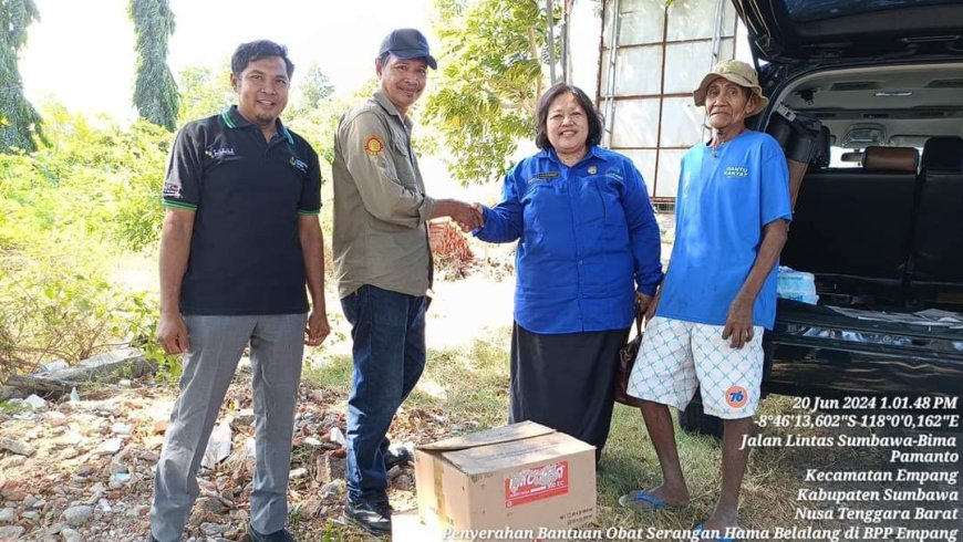 Proteksi Pertanian, Ini Langkah Pemerintah Daerah Atasi Masalah Hama Belalang
