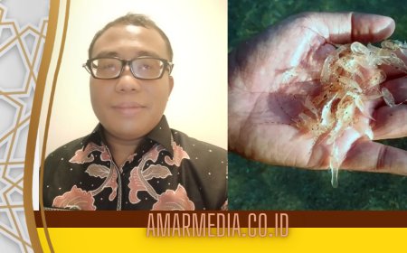 Ekspor BBL Ilegal "Dibungkus" Budidaya, KPK Perlu Periksa Menteri KKP