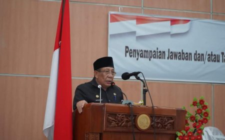 Ini Langkah Jitu Pemerintah Daerah  Tindak Lanjuti Rekomendasi BPK RI