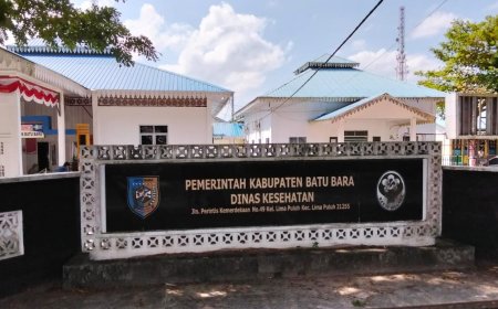 Tokoh Pemuda dan Aktivis Desak Pj Heri Wahyudi Marpaung Untuk Menonaktifkan Oknum Kadis Dinkes Batubara