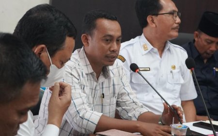 Sukiman K. : Bentuk Tim Investigasi Pertambangan Demi Penilaian Objektif Bahan Konsultasi ke Pusat