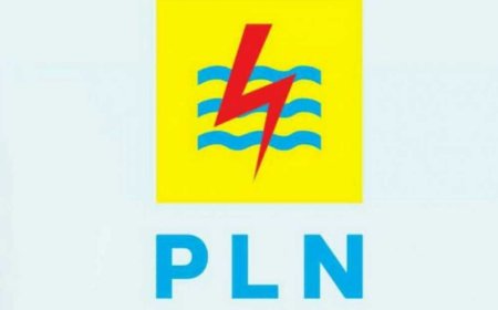Pemerintah Tetapkan Diskon 50 Persen Tarif Listrik untuk Dua Bulan