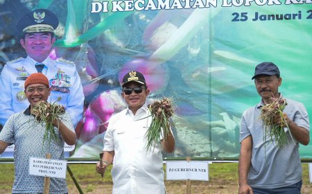 Panen Bawang Merah di Lopok, Pj Gubernur NTB: Mesti Mampu Beradaptasi dengan Inovasi