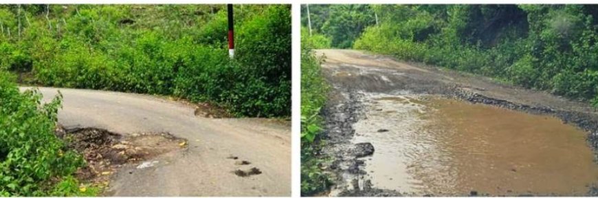 Ruas Jalan Ropang-Lantung Banyak Berlubang, Warga Sarankan "Lepas Ikan dan Tanam Pohon"