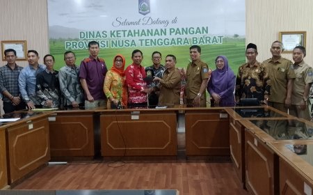 Komisi II DPRD Sumbawa Kunker ke Dinas Ketahanan Pangan NTB, Bahas Penguatan Ketahanan Pangan