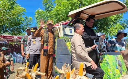Mentan RI, Gubernur NTB dan Bupati Sumbawa Panen Raya. Tekankan Harga Jagung dan Gabah Kembali Sesuai Ketentuan
