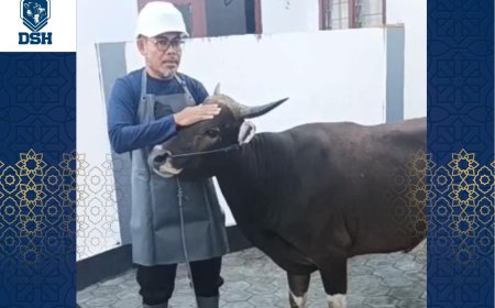 Dakwah Sembelih Halal Indonesia (DSH) 'Merambah' Sumbawa, Edukasi Tata Cara Sembelih Syar'i