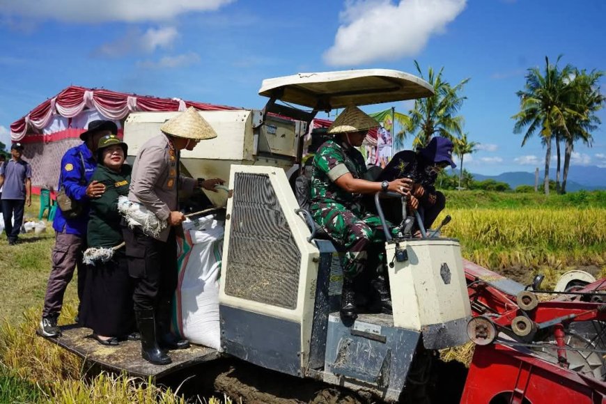 Presiden Prabowo Pantau dari Jabar, Bupati Sumbawa Pimpin Panen Raya Wujudkan Swasembada Pangan