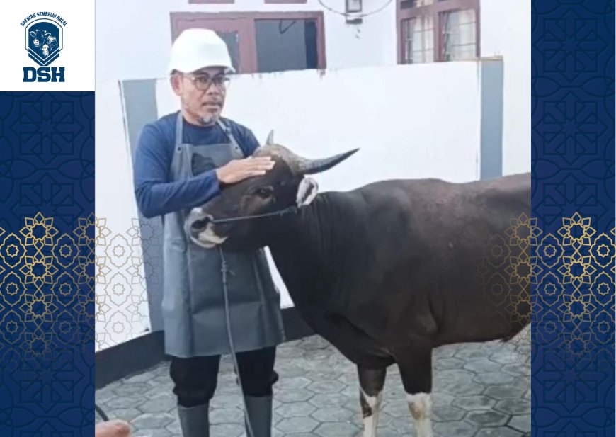 Dakwah Sembelih Halal Indonesia (DSH) 'Merambah' Sumbawa, Edukasi Tata Cara Sembelih Syar'i