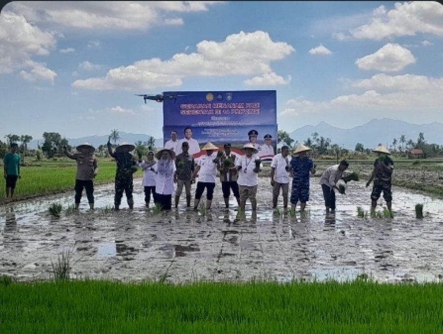 Virtual Tanam Padi Serentak di 14 Provinsi, NTB Dipusatkan di Poktan Pohdane Utara, Lombok Barat