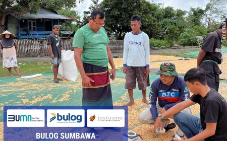 Anggota DPRD Sumbawa Ridwan,  Kawal Langsung Pemeriksaan Kadar Air Jagung Petani, Apresiasi Transparansi Bulog