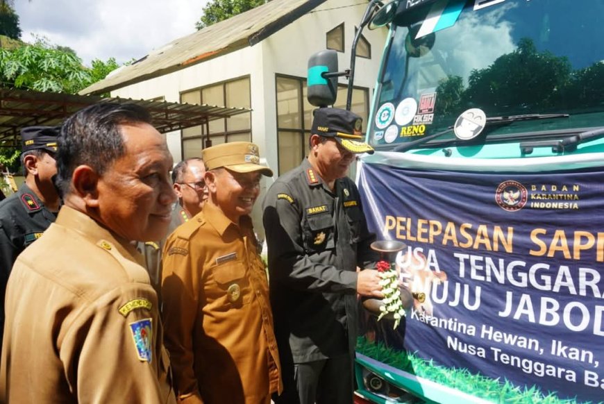Wabup Ansori 'Gencar' Gaet Kerjasama Badan Karantina RI: Sumbawa Bidik Jadi Lumbung' Ternak-Jagung Nasional!