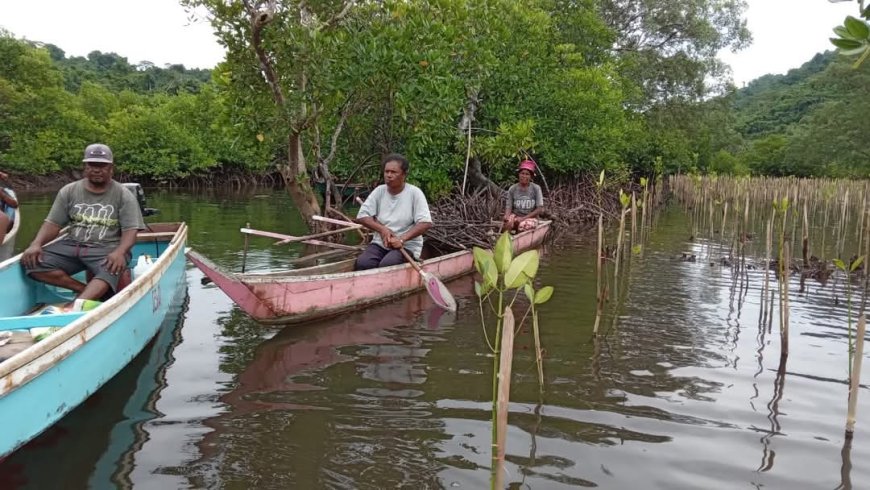 Belajar Cinta dan Kepercayaan dari Mangrove