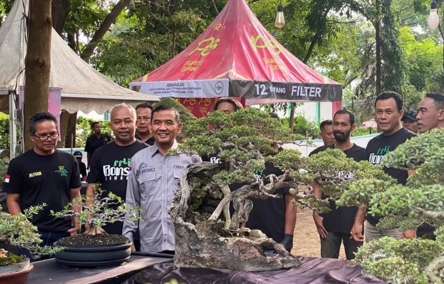 Wabup H. Ansori Buka Pameran "Jemur Bonsai" di Taman Genang Genis: Dorong Potensi Ekonomi Masyarakat