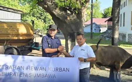 Bupati Sumbawa Terima 60 Hewan Kurban dari PT AMMAN, Sinergi untuk Idul Adha Merata