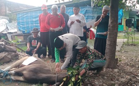 Lebih dari 2.600 Hewan Kurban Dipotong di Sumbawa, Dipastikan Sehat dan Aman Dikonsumsi