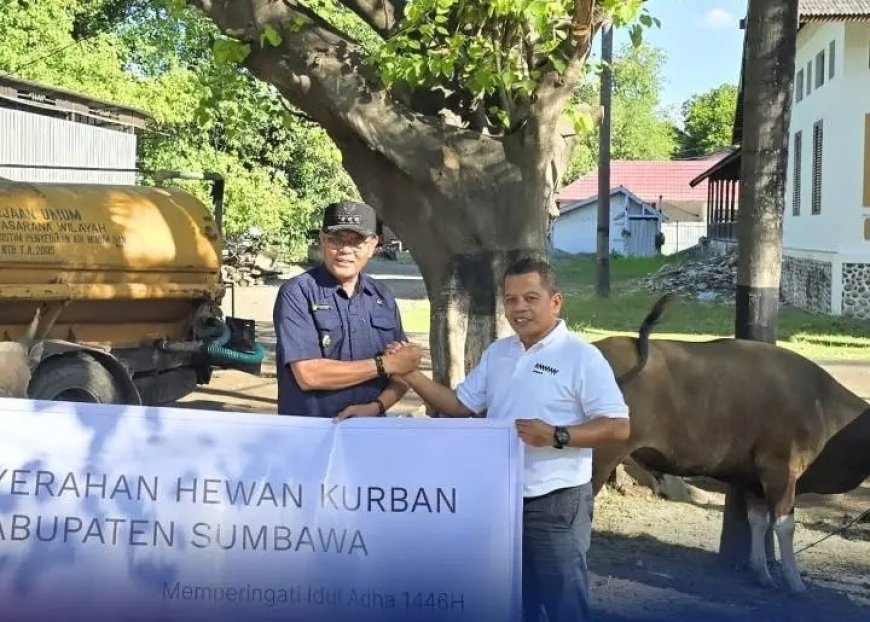 Bupati Sumbawa Terima 60 Hewan Kurban dari PT AMMAN, Sinergi untuk Idul Adha Merata