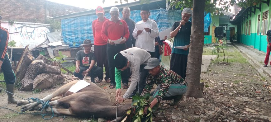 Lebih dari 2.600 Hewan Kurban Dipotong di Sumbawa, Dipastikan Sehat dan Aman Dikonsumsi