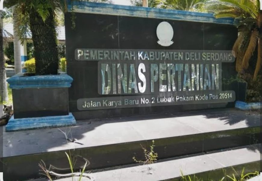Ada Apa di Balik Kebijakan PLT Kabid Sarpras? Ketahanan Pangan Nasional Terancam di Batang Kuis!
