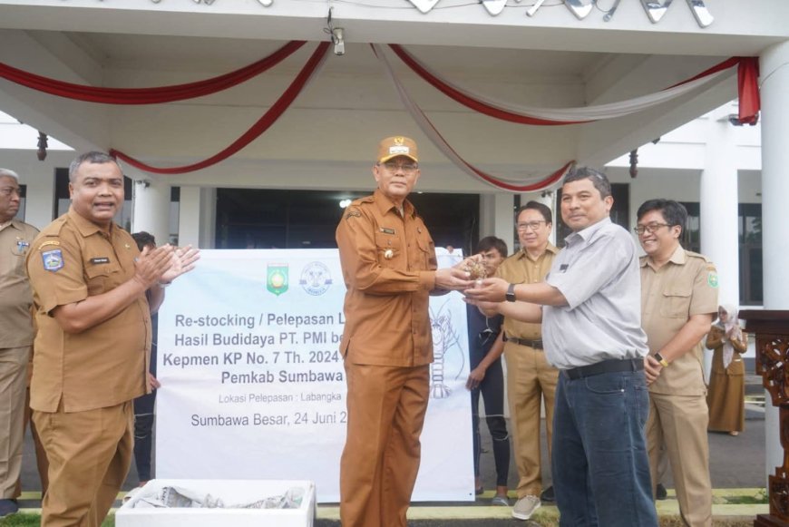 Kembalikan Populasi Lobster ke Habitat Aslinya, Bupati Sumbawa: Pembangunan Ekonomi Tidak Harus Korbankan Kelestarian Lingkungan