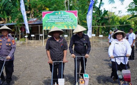 Ketua Komisi II DPRD Sumbawa Dukung Penuh Swasembada Pangan 2025: Penanaman Jagung Serentak Dimulai di Unter Iwes