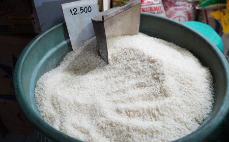Peringatan Keras Badan Pangan Nasional: Jangan Main-Main dengan Kualitas Beras